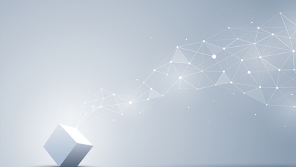 Product image for Assessing IT Business Application Controls - 10 CPEs