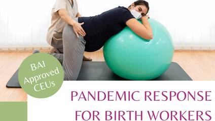 Product image for Pandemic Response Doula Training