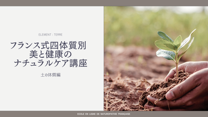 Product image for フランス式４体質別　美と健康のナチュラルケア講座　土-TERRE-編