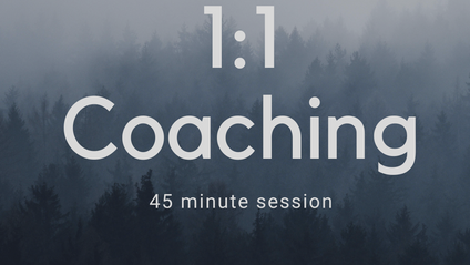 Product image for 1:1  coaching session 45 minutes