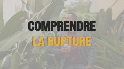 Product image for Comprendre la rupture