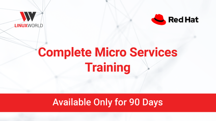 Product image for Complete Micro Services (378) Training 