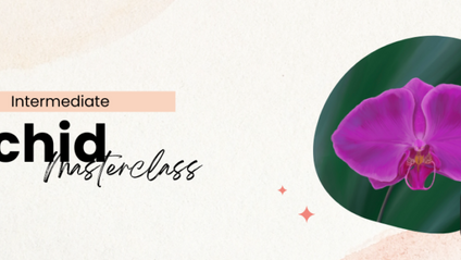 Product image for Orchid Masterclass