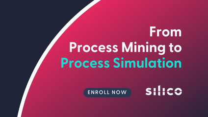 Product image for From Process Mining to Process Simulation