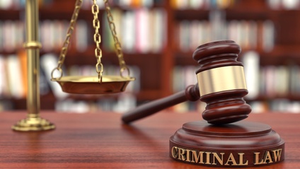 Product image for Criminal Defense Support Essentials