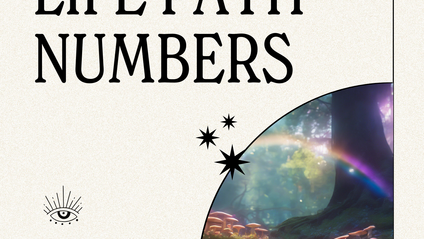 Product image for Life Path Number Guide