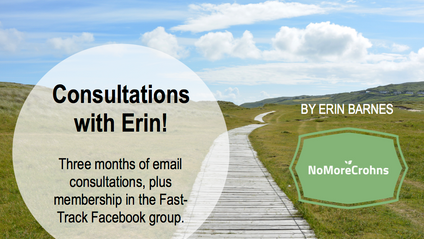 Product image for Consultations With Erin