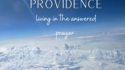 Product image for Prospering in Providence