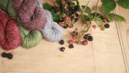 Product image for Seasons Club 2022 - Autumn