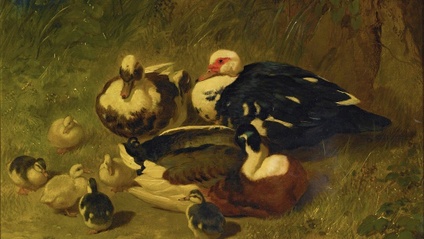 Product image for Cría Natural de Patos