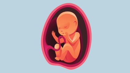 Product image for Intrapartum Nursing