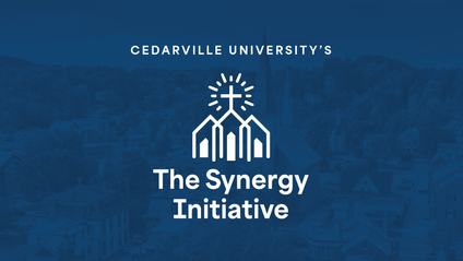 Product image for The Synergy Initiative