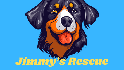 Product image for Jimmy's Rescue Dog Revolution