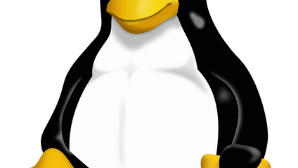 Product image for Advanced Linux - Net 