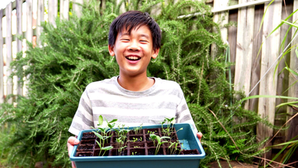 Product image for Social Action in Community Spaces