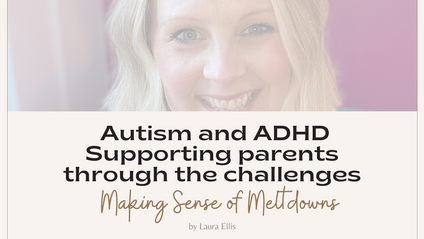 Product image for Making Sense of Meltdowns: Session 2 Morning Mayhem!