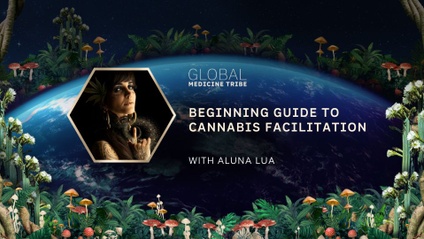 Product image for Beginning Guide to Cannabis Facilitation