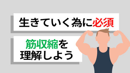 Product image for 【筋収縮に必要な栄養素と代謝】