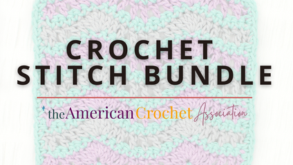 Product image for Crochet Stitch Bundle