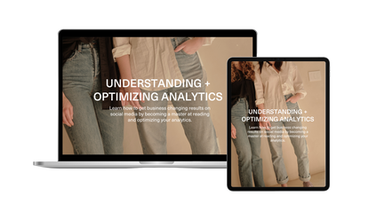 Product image for Understanding + Optimizing Analytics Course