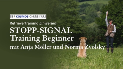 Product image for Retrievertraining EINWEISEN | Stopp-Signal Training Beginner