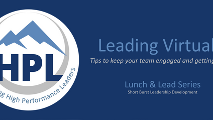 Product image for Leading Virtually