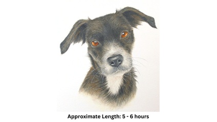 Product image for Little Mongrel Dog in Watercolor