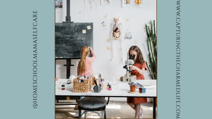 Product image for Reimagine your Homeschool Journaling Workbook