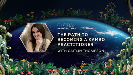 Product image for The Path to Becoming a Kambo Practitioner