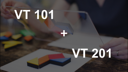 Product image for Bundled VT 101 and 201 Courses