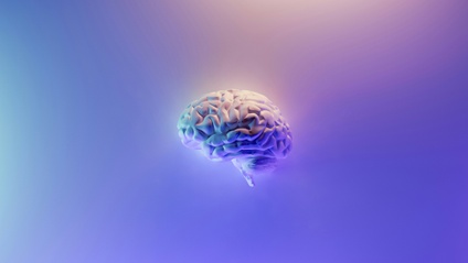 Product image for Brain Injury and Multiple Disadvantage