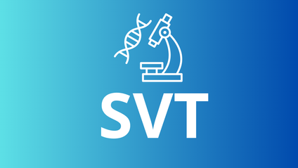 Product image for SVT 2Bac Sm