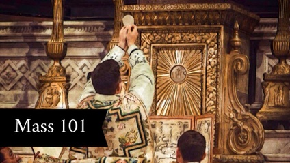 Product image for Mass 101