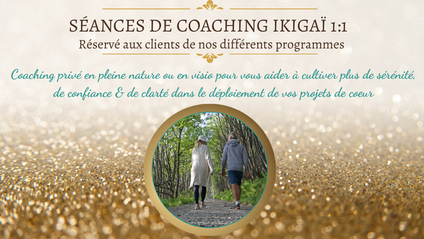 Product image for 12 mois - Coaching Ikigaï Design 1:1
