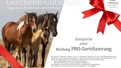 Product image for Geschenk-Gutschein für die Buchung PRO-Zertifizierung