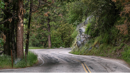 Product image for Trauma Stabilization and Treatment Planning: A Road Map