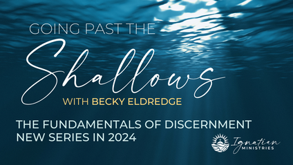 Product image for Going Past the Shallows Series 2: Discernment