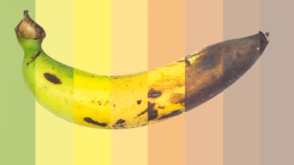 Product image for Dietary Controversies in Parkinson's