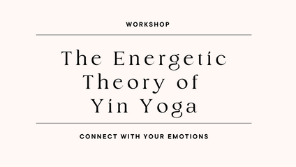 Product image for The Energetic Theory of Yin Yoga