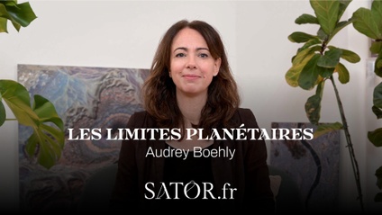 Product image for Les limites planétaires