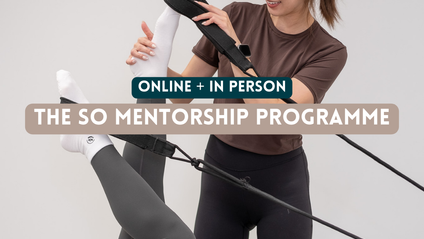 Product image for 2025 SO Mentorship Programme