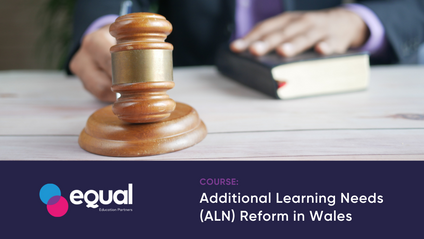 Product image for Additional Learning Needs (ALN) Reform in Wales 