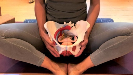 Product image for Yoga for the Pelvic Floor BUNDLE