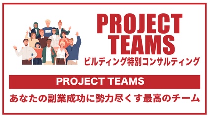 Product image for PROJECT TEAMS～ビルディング特別コンサルティング～