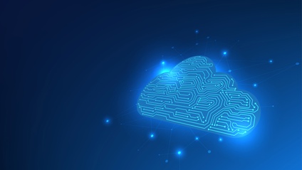 Product image for Auditing Procure to Pay Control Design for ERP Cloud
