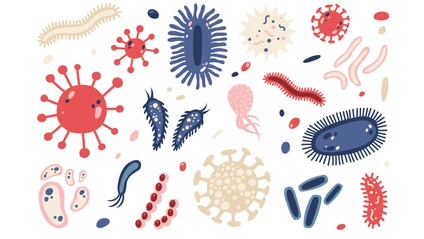 Product image for Advanced Microbiome Manipulation - 2024 Term
