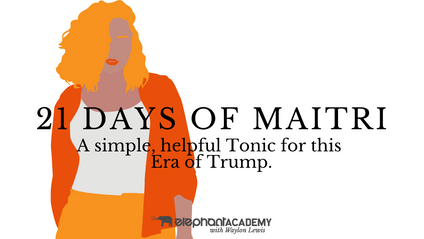 Product image for 21 Days of Maitri.