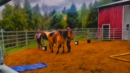 Product image for EQUINE ASSISTED THERAPY, COACHING, TEACHING - in English ( Swedish available as a separate course)
