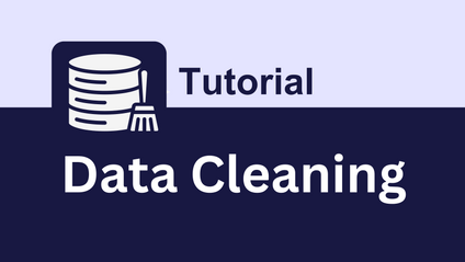 Product image for Data Cleaning