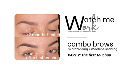 Product image for Combo Brows Part 2: The First Touchup